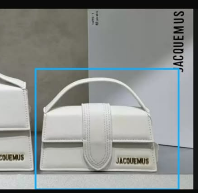 2 pairs of shoes and a bag-001 Lxucase